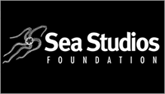 Sea Studios Foundation logo