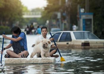 People with dog on makeshift raft