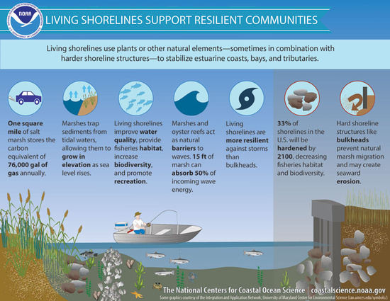 Hook, Line and Sinker  Resilience and Response of Marine Organisms to  Environmental Change