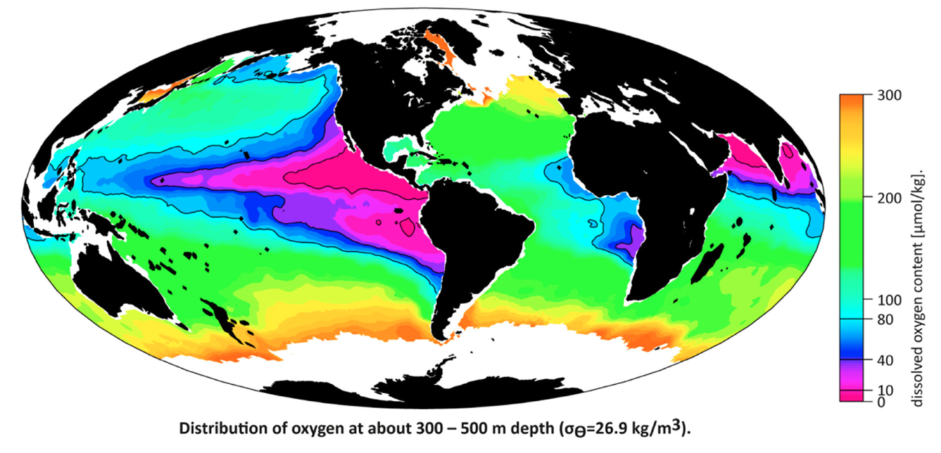 Map wherein the pink and red show the low oxygen zones in the midwaters of the global ocean.