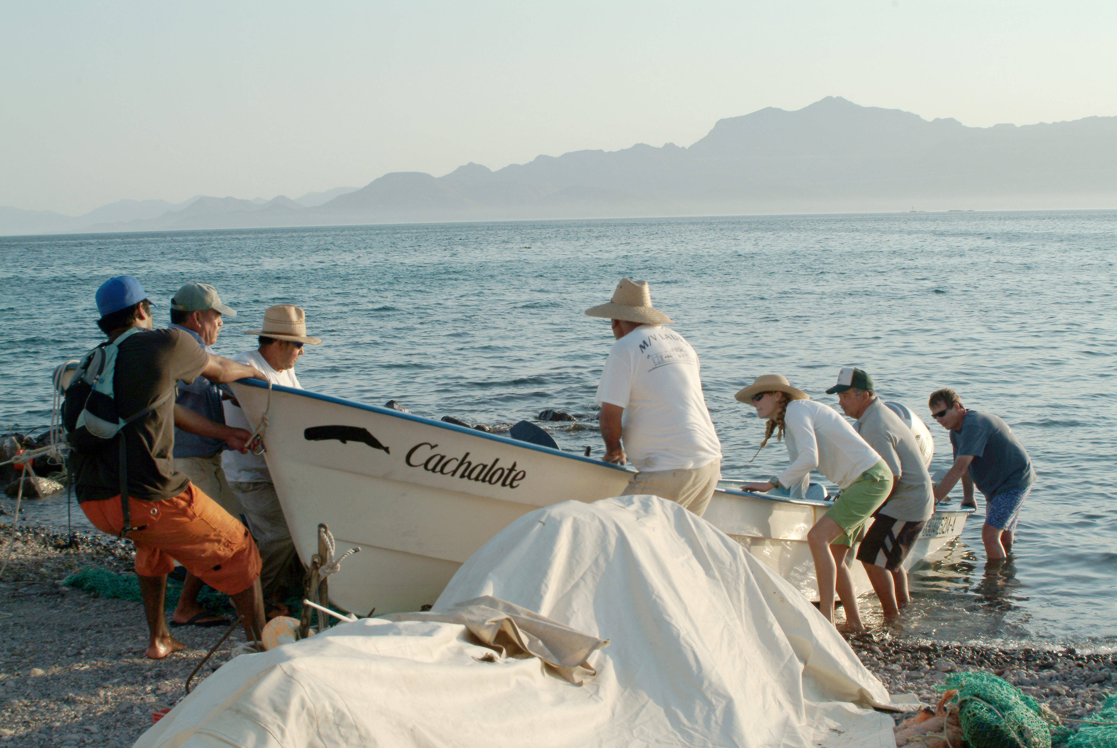 Pangas are the type of small sturdy boat used everywhere in Baja California. They 