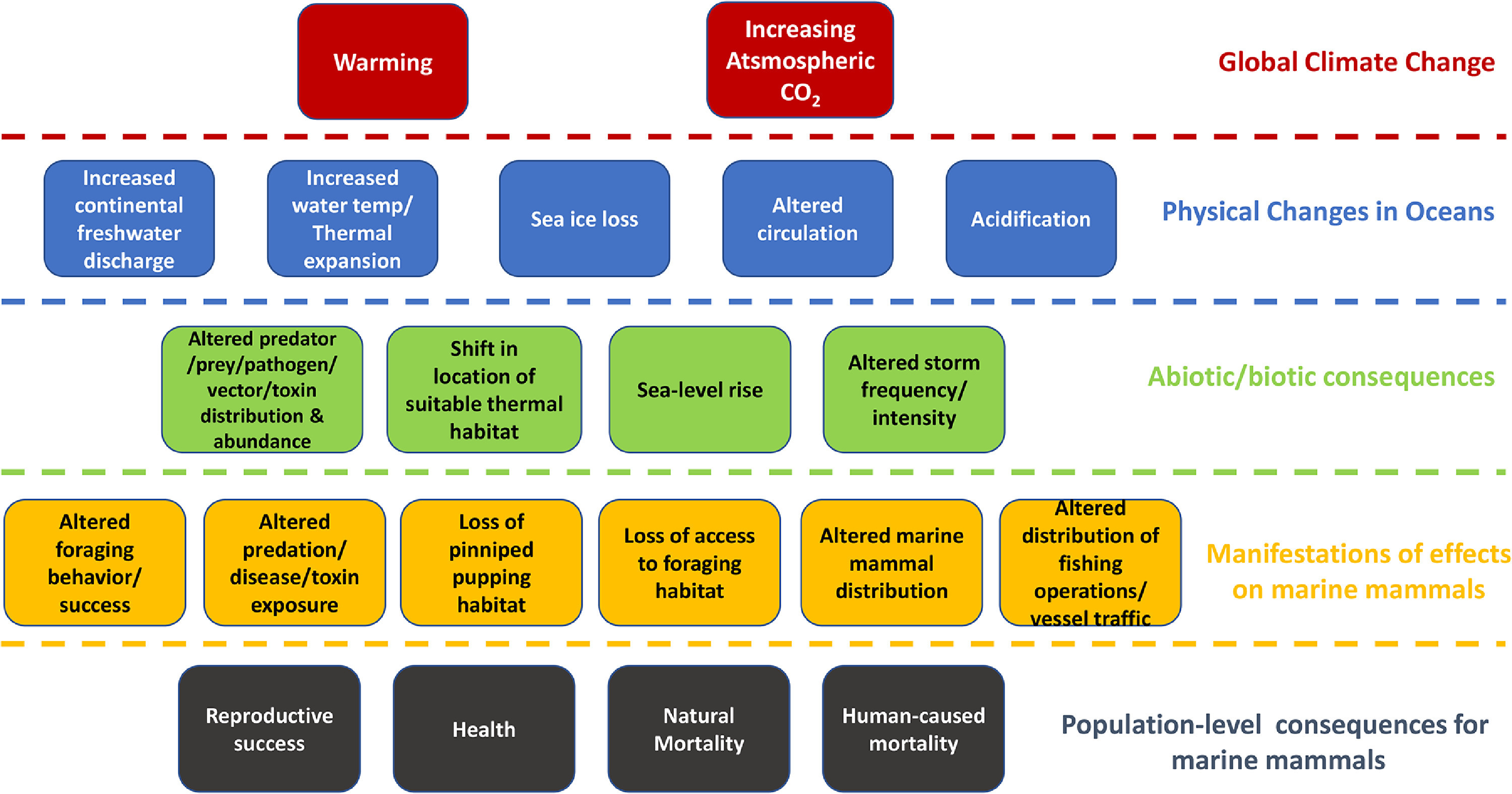 representation of climate change impacts on marine mammal populations