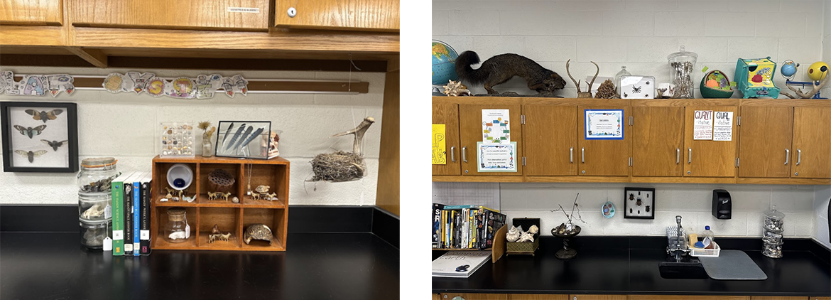 classroom displays