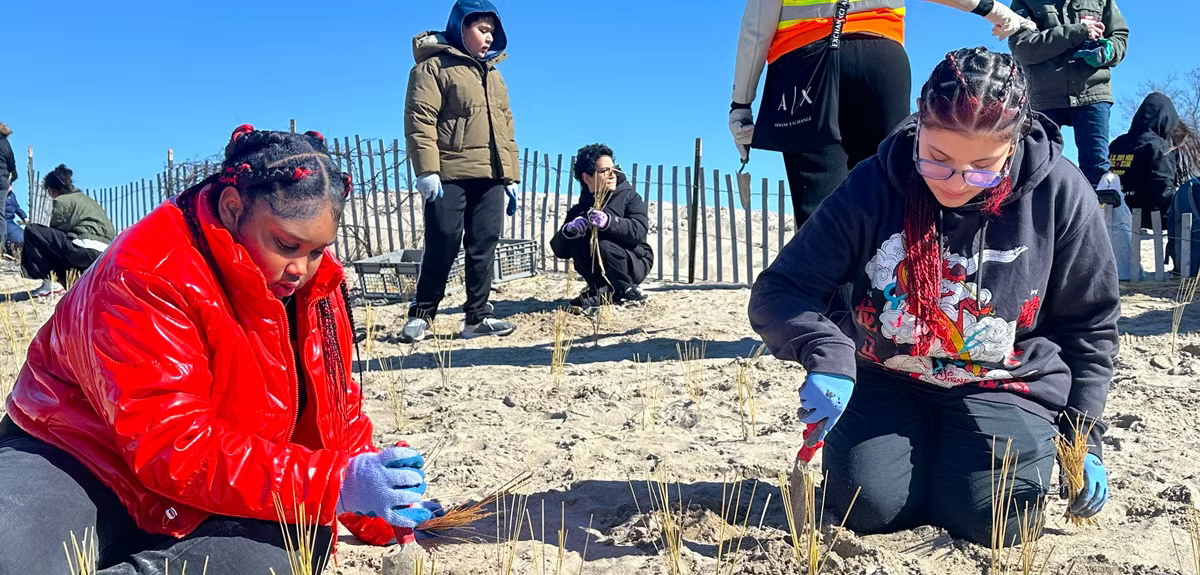 Students digging in sand on a beach