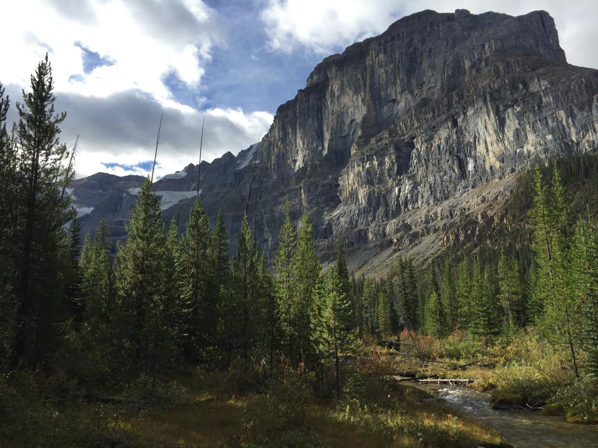 A Different Look At The Burgess Shale – The Stanley Glacier Burgess Shale  Hike, Kootenay National Park, British Columbia, Canada – GEOPOSTINGS