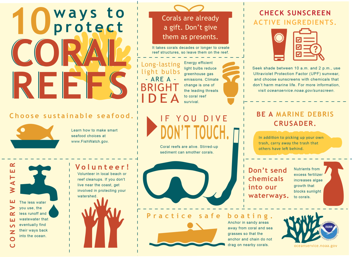 10 Ways to Protect Coral Reefs When You Travel