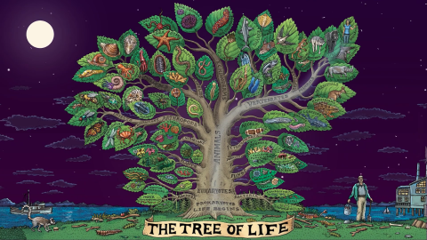 tree of life vimeo