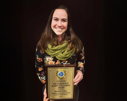 stanys award