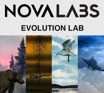 When Shape Of Life Partners With NOVA, It's An EVOLUTION LAB! | Shape ...