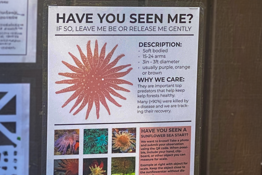 pycposter