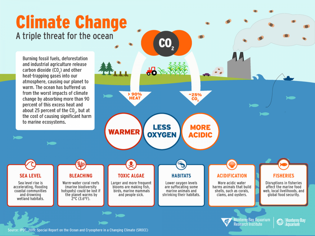 Climate Change: Atmospheric Carbon Dioxide